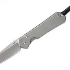 CHRIS REEVE KNIVES Chris Reeve Large Sebenza 31 Sprint Tanto S35VN Glass Blast Titanium Folder