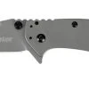 Kershaw 1556Ti Cryo II Assisted Blade Kershaw Knives