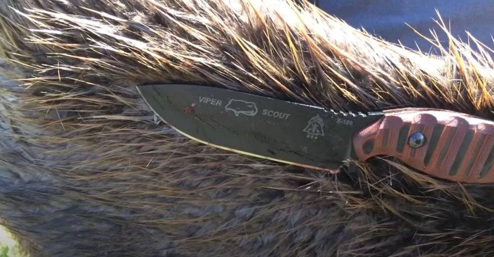 TOPS KNIVES TOPS Viper Scout Fixed Knife USA (Red Handles) 5 TOPS KNIVES TOPS Viper Scout Fixed Knife USA (Red Handles)